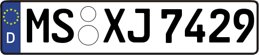 MS-XJ7429