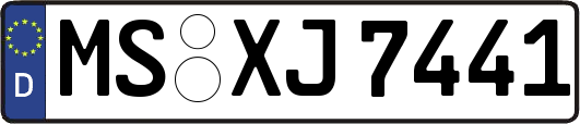 MS-XJ7441
