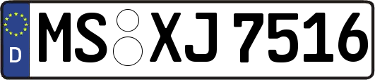 MS-XJ7516