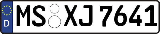 MS-XJ7641