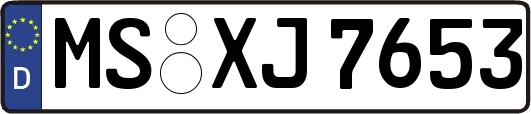 MS-XJ7653