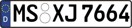 MS-XJ7664
