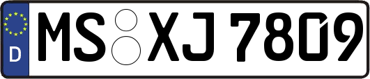 MS-XJ7809