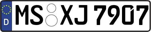 MS-XJ7907