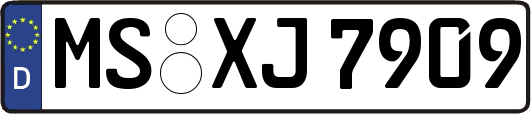 MS-XJ7909