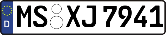 MS-XJ7941