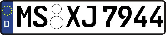 MS-XJ7944