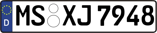 MS-XJ7948