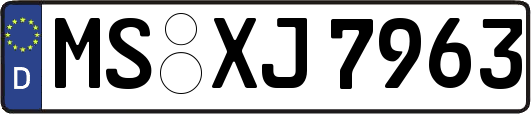 MS-XJ7963
