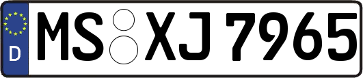 MS-XJ7965