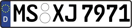 MS-XJ7971