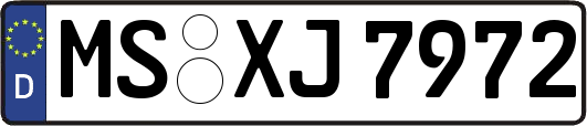 MS-XJ7972