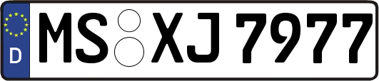 MS-XJ7977