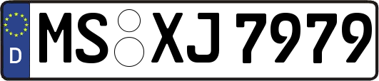 MS-XJ7979