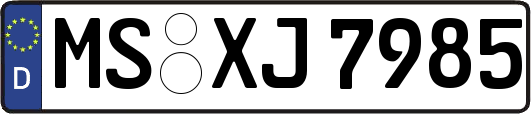 MS-XJ7985
