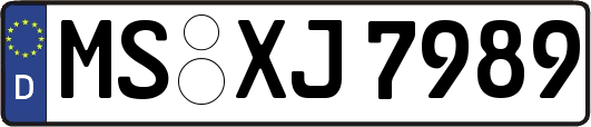 MS-XJ7989