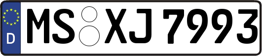 MS-XJ7993