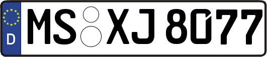 MS-XJ8077
