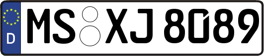 MS-XJ8089