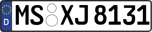 MS-XJ8131