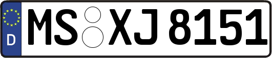 MS-XJ8151