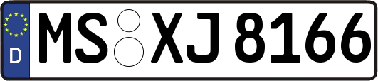 MS-XJ8166