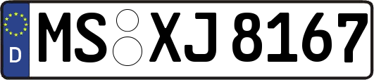 MS-XJ8167