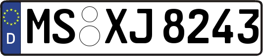 MS-XJ8243