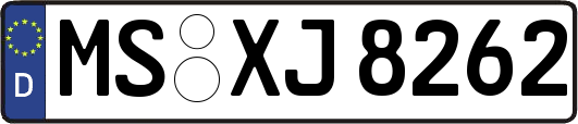 MS-XJ8262