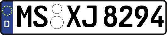 MS-XJ8294