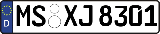 MS-XJ8301
