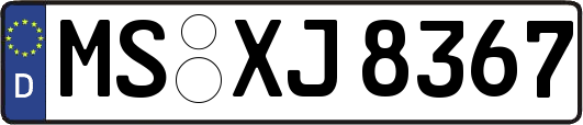 MS-XJ8367