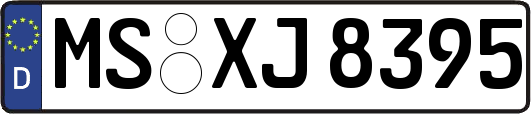 MS-XJ8395