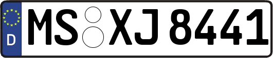 MS-XJ8441