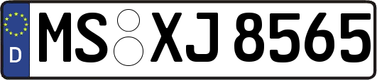 MS-XJ8565