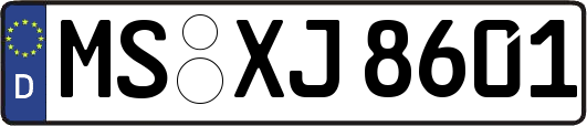 MS-XJ8601