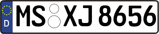 MS-XJ8656