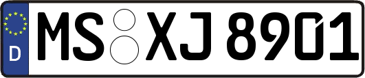 MS-XJ8901