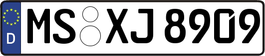 MS-XJ8909