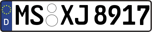 MS-XJ8917