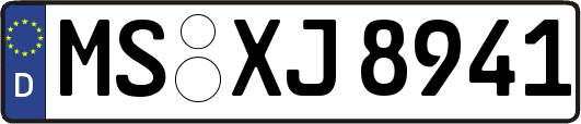 MS-XJ8941