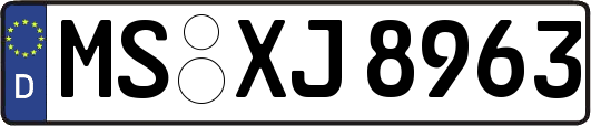 MS-XJ8963