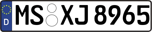 MS-XJ8965