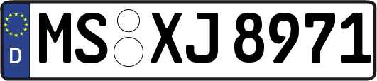 MS-XJ8971