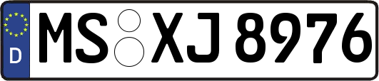 MS-XJ8976