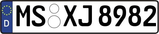 MS-XJ8982