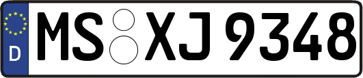 MS-XJ9348