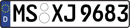 MS-XJ9683