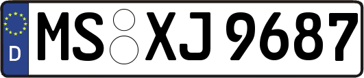 MS-XJ9687