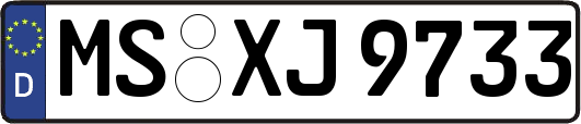 MS-XJ9733
